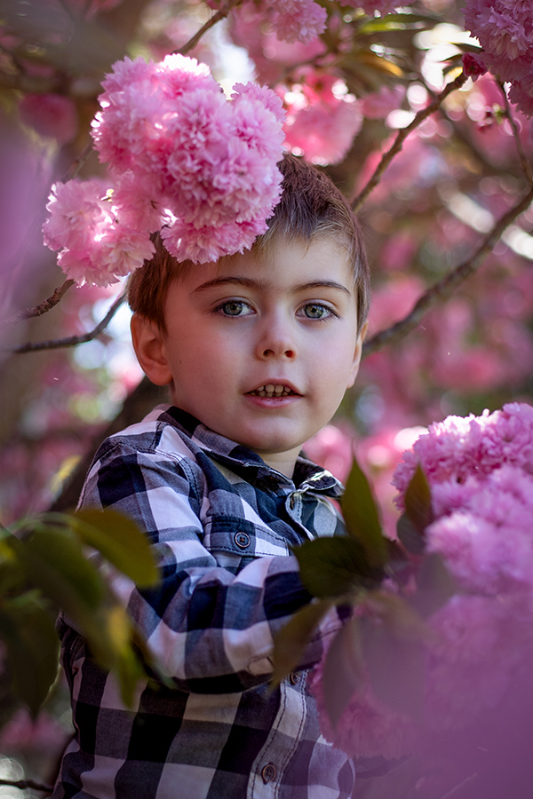 boy in cherry blossoms
